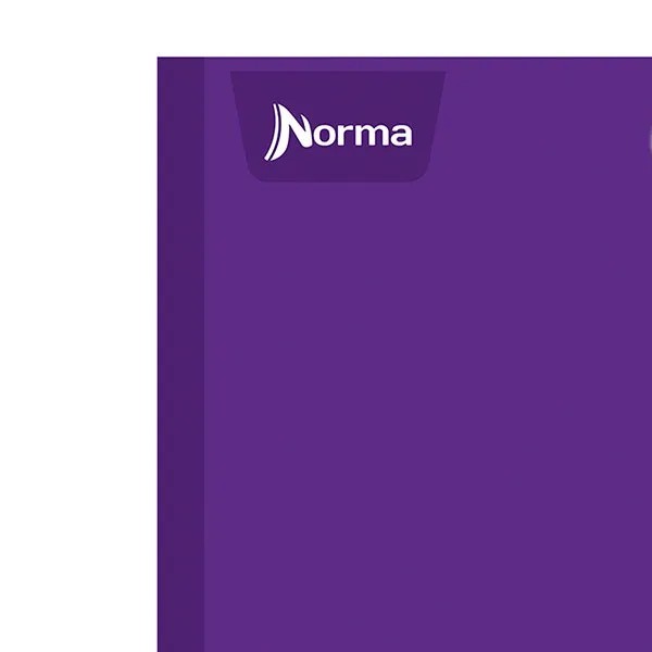 CUADERNO PROF. COLOR NORMA 581280 RAYA COS. 100H. PZA